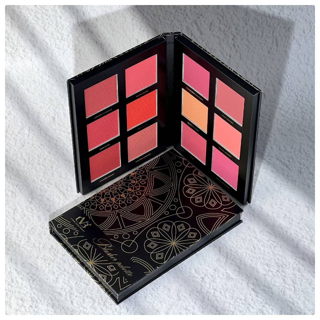 Cvb Blusher palette Perfect All Skin Tones Twelve Shades C226 - Image 4