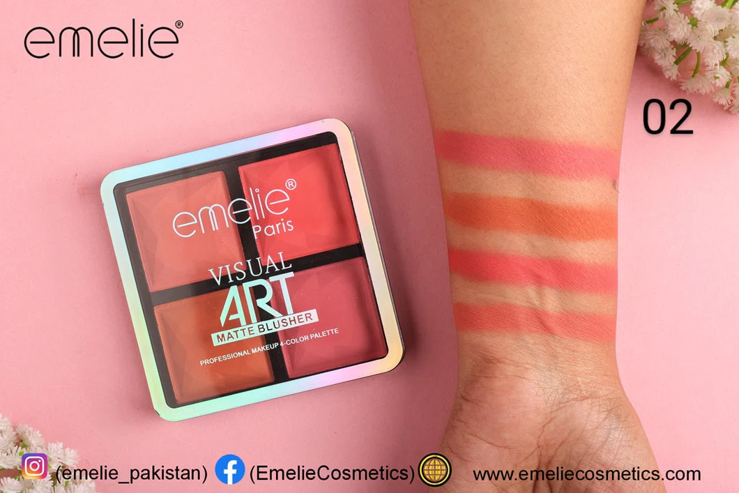 Emelie Visual Art Matte Blusher 4 Color Palette - Image 3