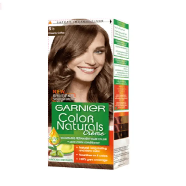 Garnier Color Naturals Hair Color Creme Cinnamon Chocolate 5.25