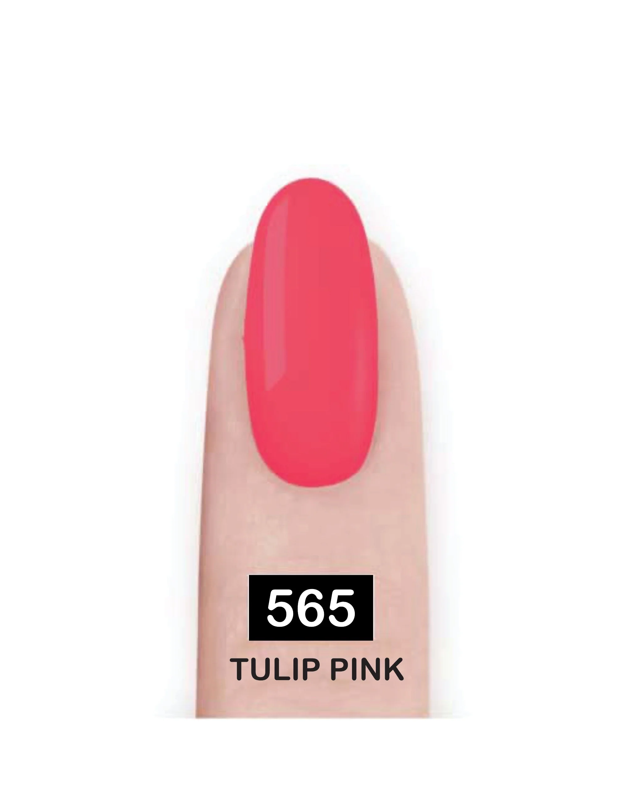 Tv Parlour Nail Paint - Image 41