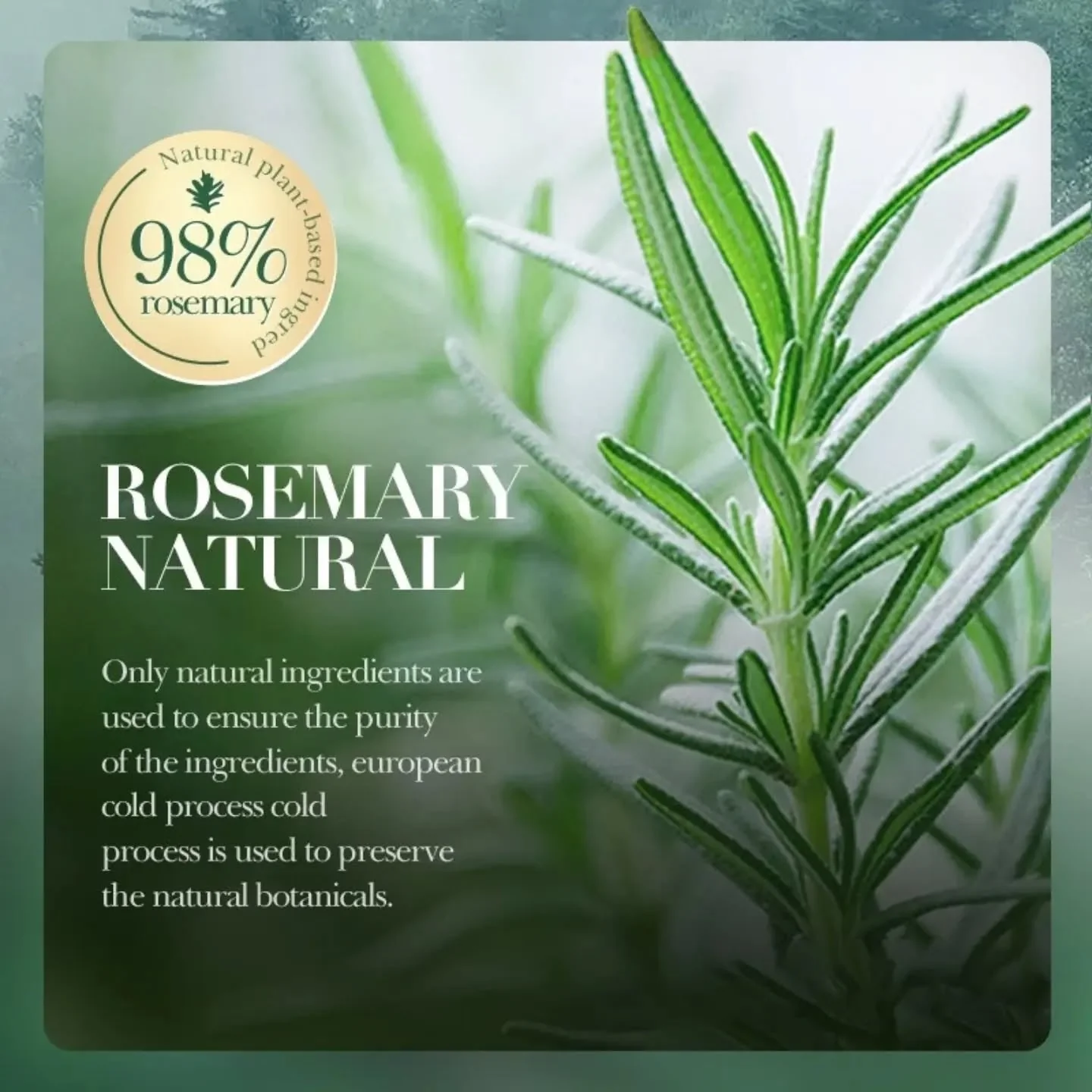 Sadoer Volumizing Rosemary Hair Mask 500ml - Image 3
